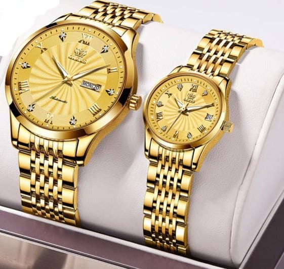 Samar Automatic Mechanical Watch Watches